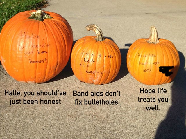 winter squash - I should've just been honest is Hotelife trend you well. Bulleholds Halle, you should've Band aids don't just been honest fix bulletholes Hope life treats you well.