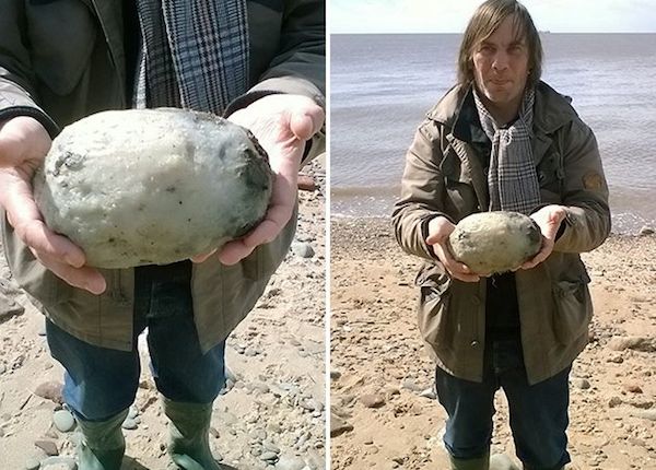 An Overton, Lancashire couple, Gary and Angela Williams, are in negotiations with potential buyers after stumbling across a valuable piece of ambergris during a stroll on the beach.

Ambergris, otherwise known as whale vomit, is used by perfumers to make scents last longer and can fetch very high prices because of its rarity. The 1.57kg lump of the substance found by the couple could be worth around £50,000 ($70,000). 

Ambergris is secreted in the bile duct and intestines of sperm whales and is thought to be produced to ease the passage of hard, sharp objects that the whale might have eaten. And, no, it doesn't smell great. Gary Williams said it has a distinctive scent, "like a cross between squid and farmyard manure.”