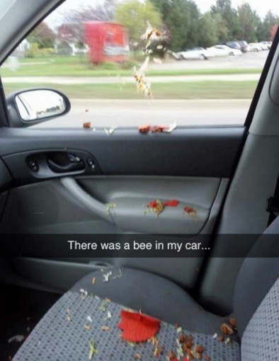 12 Snapchats That Will Absolutely Make You Laugh Until You Pee a Little