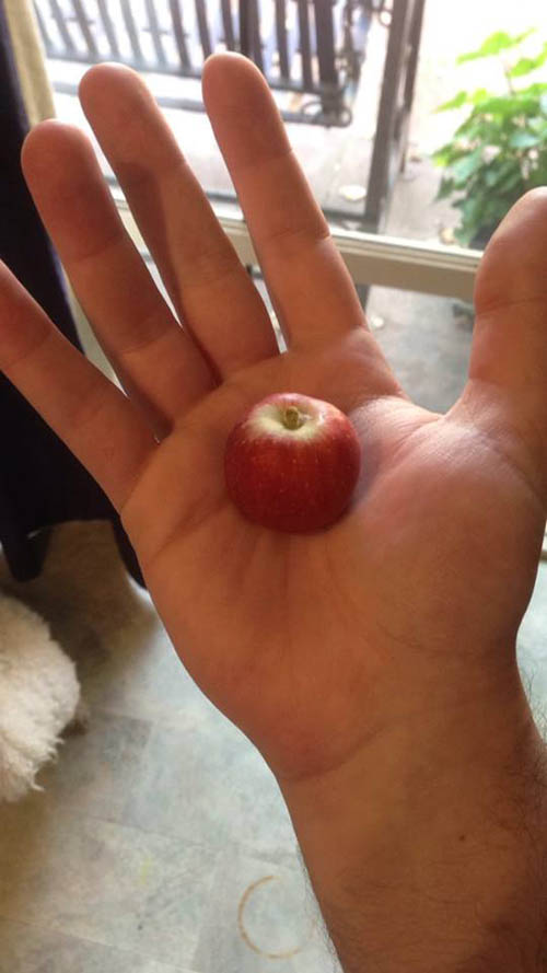 20 Freakish Foods That Are Strangely the Wrong Size