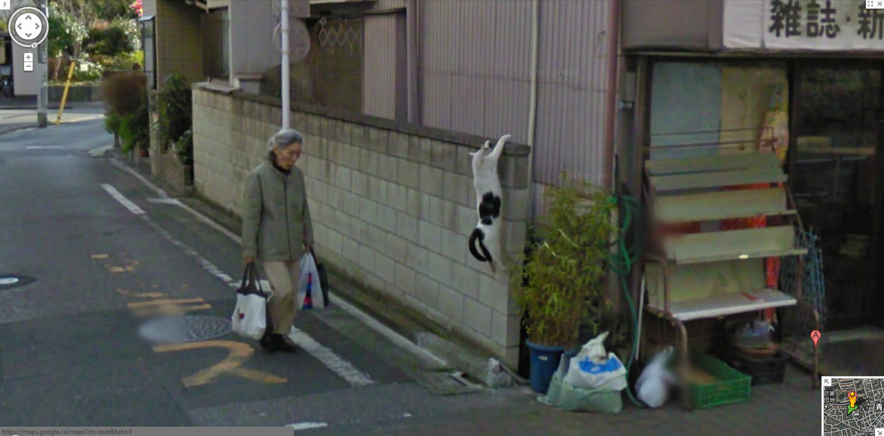 30 Strange Things Found On Google Street View