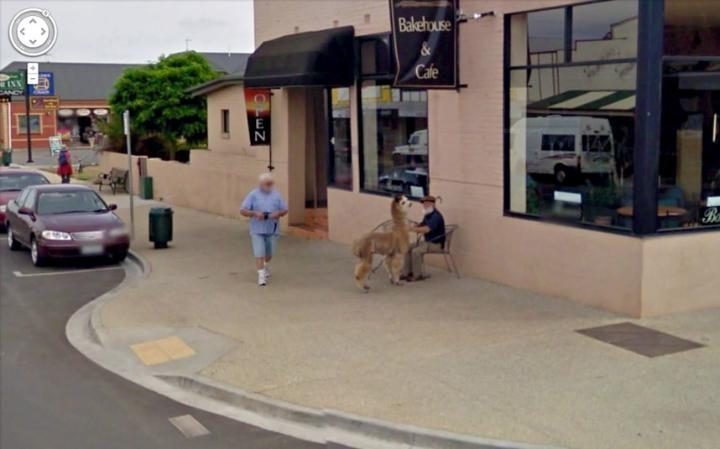 30 Strange Things Found On Google Street View