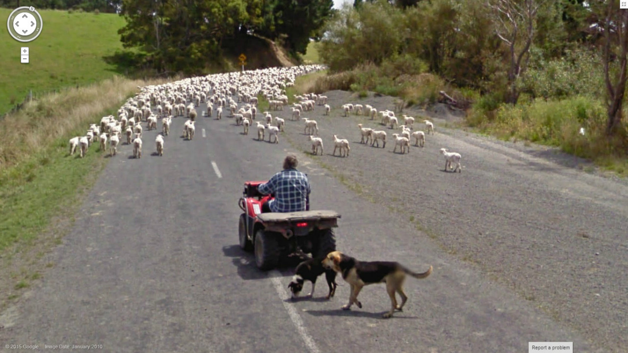30 Strange Things Found On Google Street View