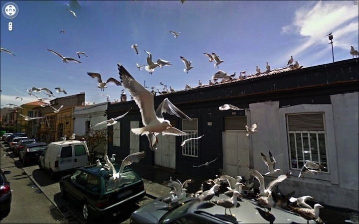 30 Strange Things Found On Google Street View