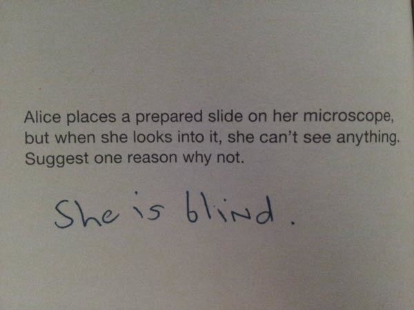 funniest kid answers clean - Alice places a prepared slide on her microscope, but when she looks into it, she can't see anything. Suggest one reason why not. She is blind.