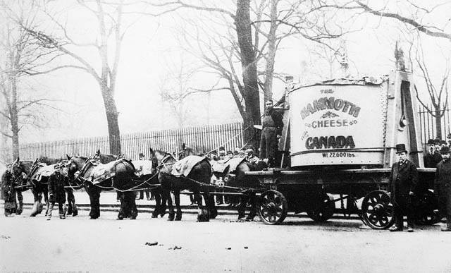 A 10,000 kg of cheese was transported from Ontario, Canada to the World's Fair in Chicago in 1893.