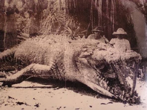 18 of the Scariest Things Ever Spotted in Australia