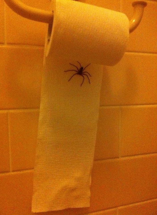 18 of the Scariest Things Ever Spotted in Australia