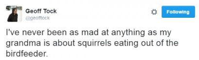 dril boys are back in town - Geoff Tock geoftock ing I've never been as mad at anything as my grandma is about squirrels eating out of the birdfeeder.