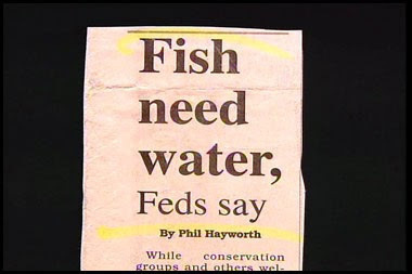 label - Fish need water, Feds say By Phil Hayworth While conservation groups and others wel