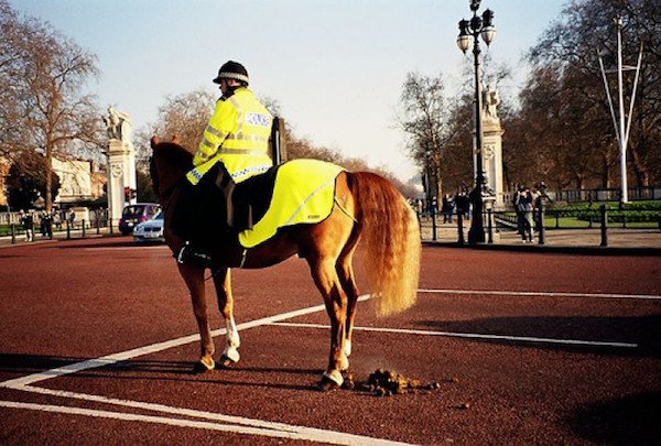 23 weird and wonderful times of the Metropolitan Police