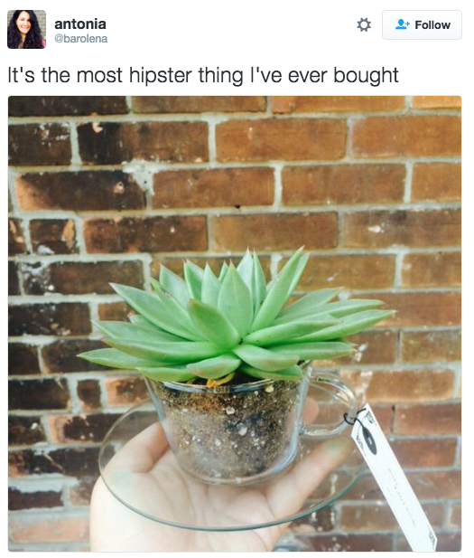 20 Of The Most Hipster Things You’ve Ever Seen