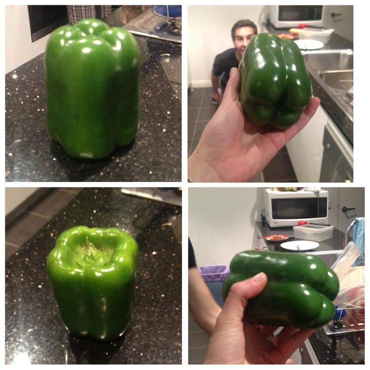 ocd perfect capsicum