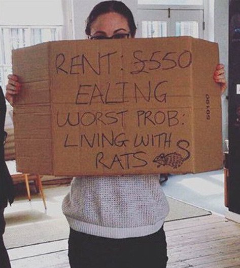 24 horrible renting situations