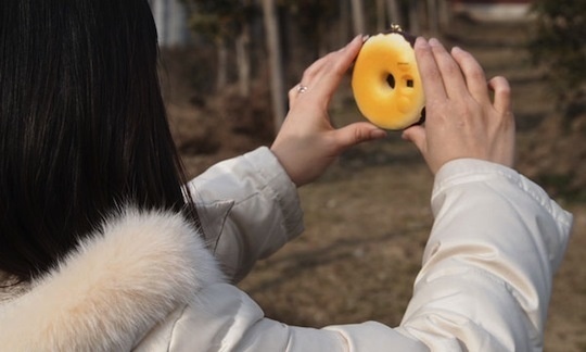 This donut camera is cute, but that's probably about it?