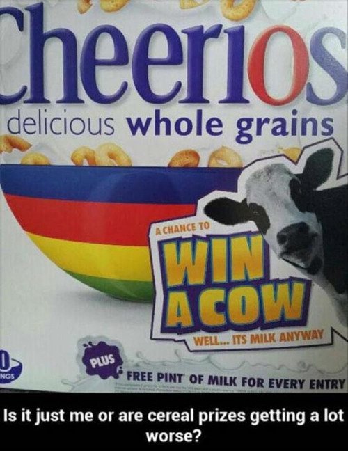 bad luck banner - Cheerios delicious whole grains A Chance To Win Acow Well... Its Milk Anyway Plus Ings Free Pint Of Milk For Every Entry Is it just me or are cereal prizes getting a lot worse?