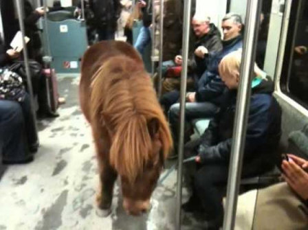 15 WTF Sights That Are Perfectly Normal On Subways