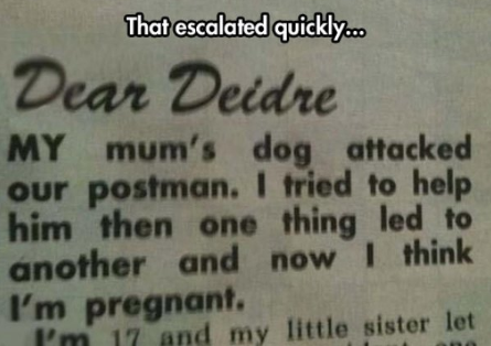 15 Hilarious Things Escalated VERY Quickly