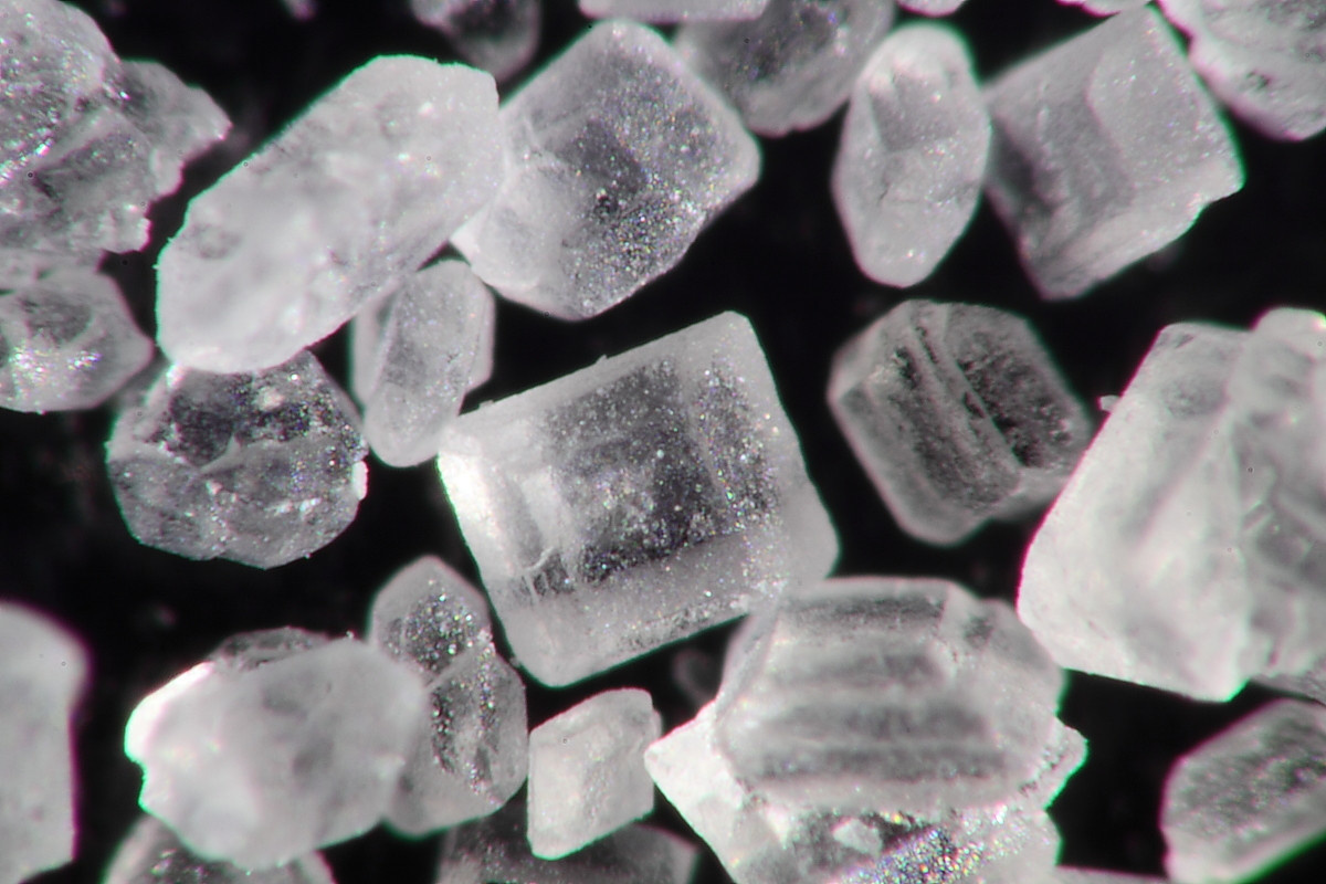 These are how sugar crystals look like underneath a microscope.