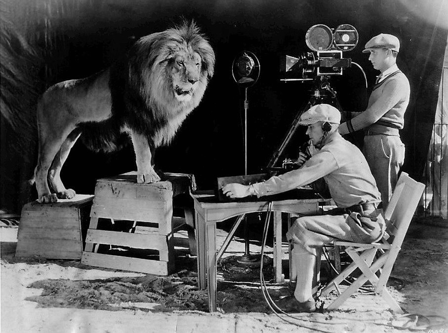 Here's a photo of an MGM lion, Jackie, being recorded for the beginning of the films. There have been 7 different lions in this role.