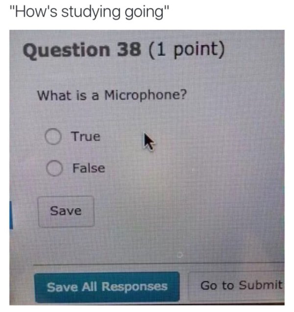 memes funny college quotes - "How's studying going" Question 38 1 point What is a Microphone? O True O False Save Save All Responses Go to Submit