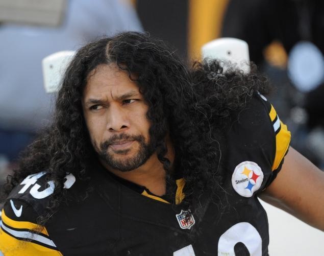 Troy Polamalu, former American football player for the Pittsburgh Steelers, had his beautiful locks insured for $1 million by Head & Shoulders.