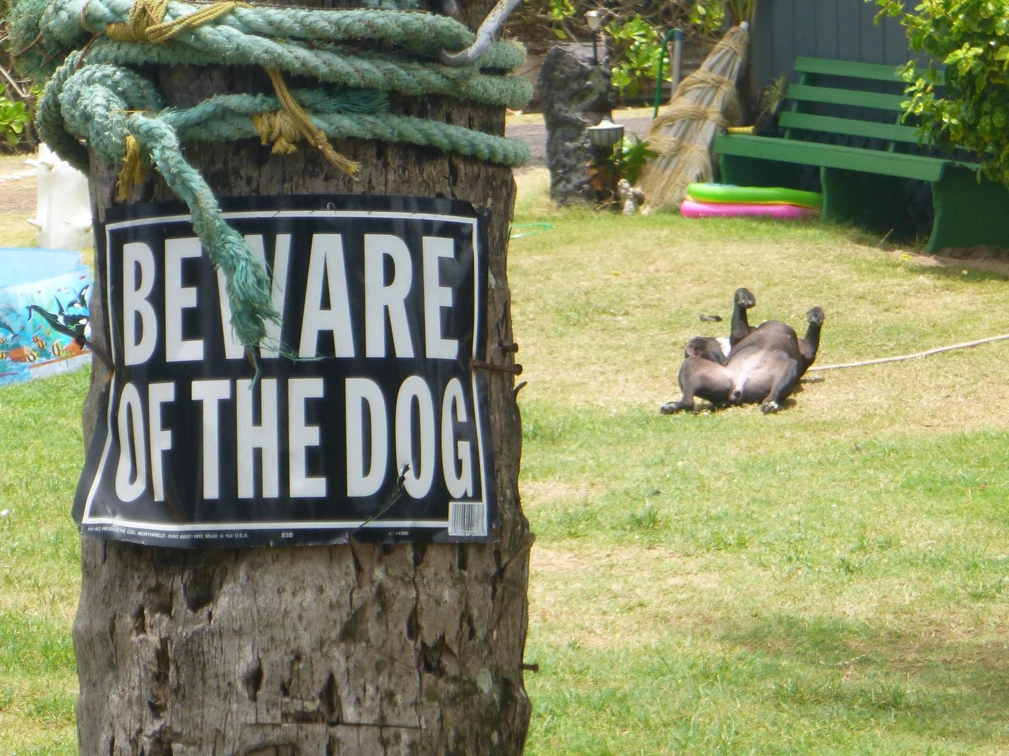 beware of dog funny - Bettare Of The Dog
