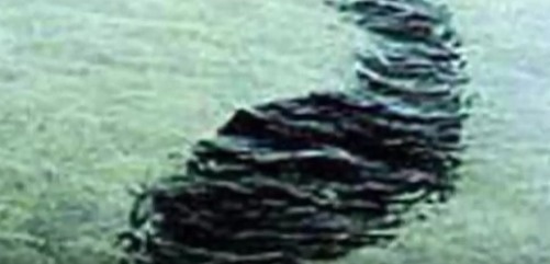 A couple took a photo of an 80 foot creature swimming near them in 1964. The sea monster swam off but not before opening its mouth to them.
