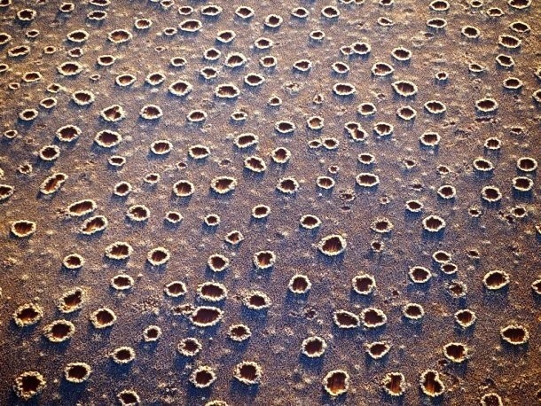 In Southern Africa, large circles measuring anywhere from two to 15 meters in diameter appear. Scientists are not sure how these "fairy circles" appear. One theory is that sand termites are responsible for this phenomenon. Although the circles are too large for what this species can do.