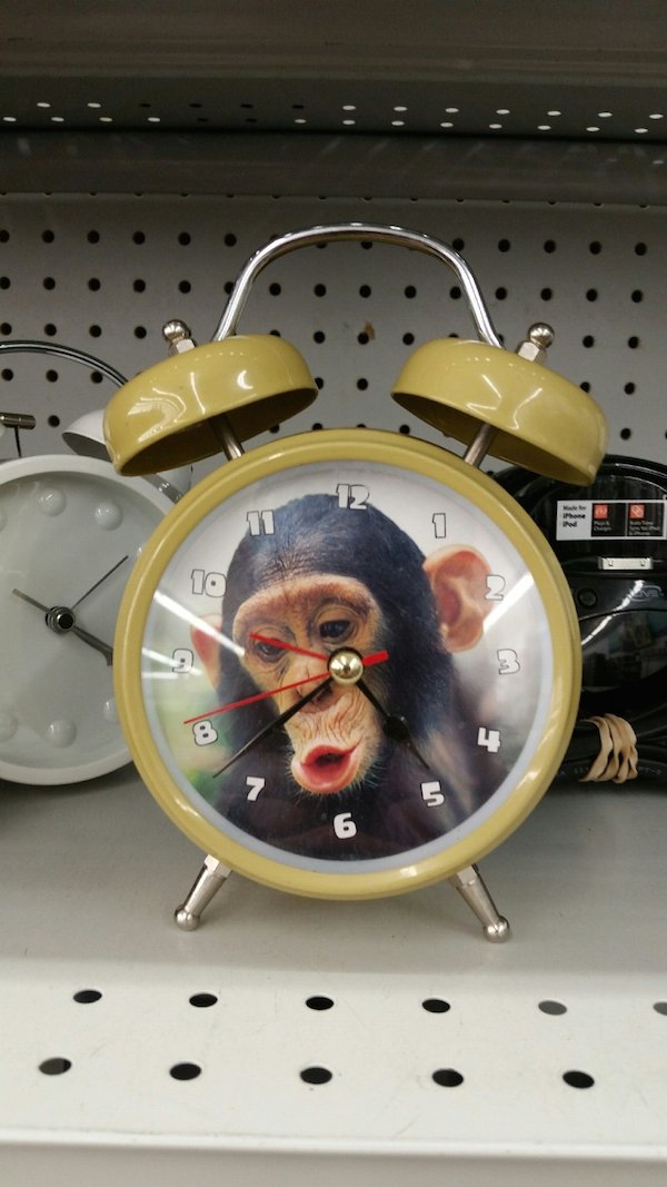 28 weird and crazy items from the thrift store
