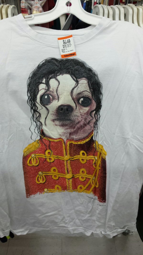 28 weird and crazy items from the thrift store
