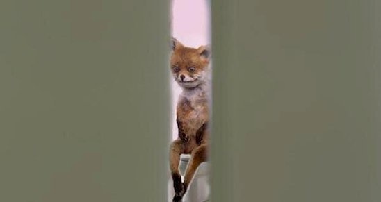 Watching someone else through the crack of bathroom door.