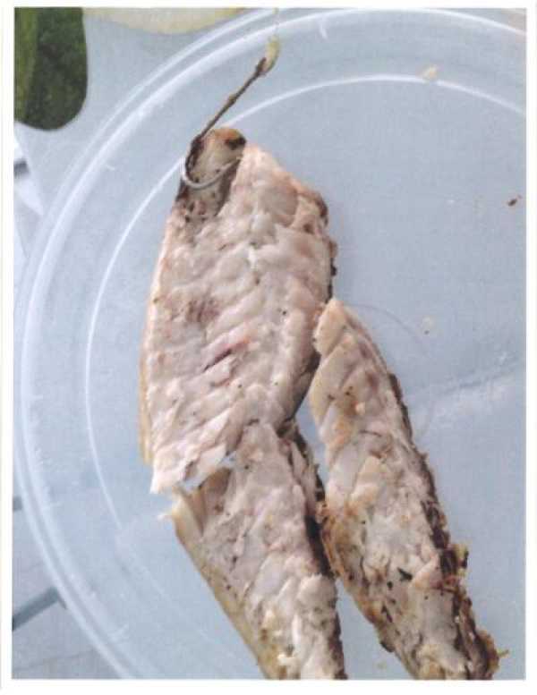 Aliona Russo went to the Villagio Italian restaurant in New York and ordered seafood, but ended up with a much less pleasing surprise in her plate. Baked into her Bronzini was a 2-inch fish hook complete with a bit of fishing line, which she accidentally bit into and pierced her tongue. She sued the restaurant for damages, but the restaurant has countersued, saying the hook was planted as extortion.