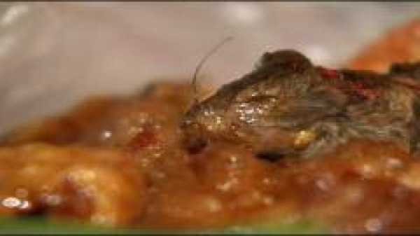 A patron of Lin's Chinese Buffet in El Paso, Texas was horrified when she saw a tail in her food and pulled out a field mouse. She notified the local news and dangled the mouse in front of the camera. The manager denied the accusations, saying the woman planted it. Lin's Buffet has had a series of health violations in the past, repeatedly failing surprise inspections. The weekend after the mouse incident, Lin's failed the inspection once again.