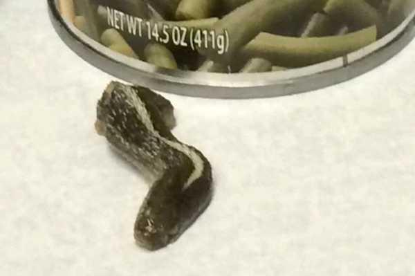 A Utah woman opened a can of Western Family green beans and put them in a slow cooker. Upon removing them, she noticed one bean that looked like it was burnt; when she picked it up with the spoon, that's when she saw the snake eyes. She screamed and dropped the spoon. The company apologized and said they were looking into the matter. The green beans were taken off the menu.