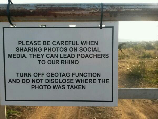 The devastation of animal poaching