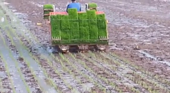 Rice planting machine