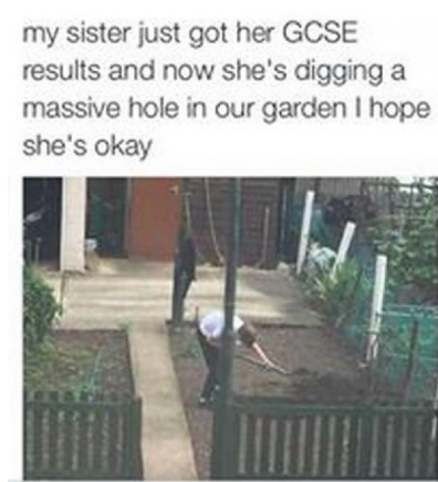 gcse results day twitter - my sister just got her Gcse results and now she's digging a massive hole in our garden I hope she's okay