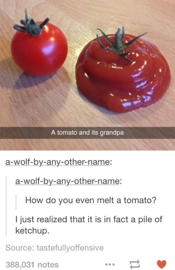 tomato memes - A tomato and its grandpa awolfbyanyothername awolfbyanyothername How do you even melt a tomato? I just realized that it is in fact a pile of ketchup. Source tastefullyoffensive 388,031 notes