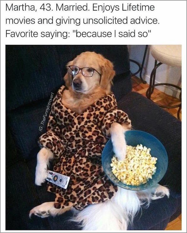 dog popcorn - Martha, 43. Married. Enjoys Lifetime movies and giving unsolicited advice. Favorite saying "because I said so" Ig. TheFunnyIntrovert