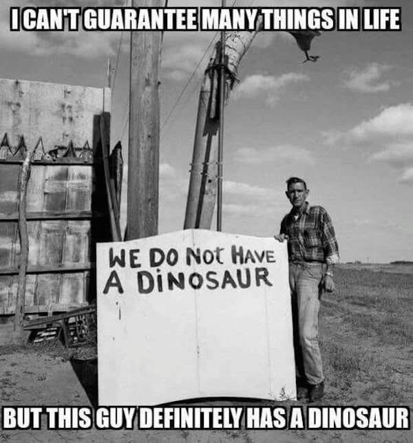 we do not have a dinosaur photo sign - Icant Guarantee Many Things In Life We Do Not Have A Dinosaur But This Guy Definitely Has A Dinosaur