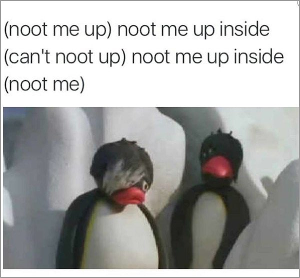 noot me up inside