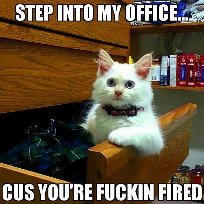 photo caption - Step Into My Office.Ee Cus You'Re Fuckin Fired