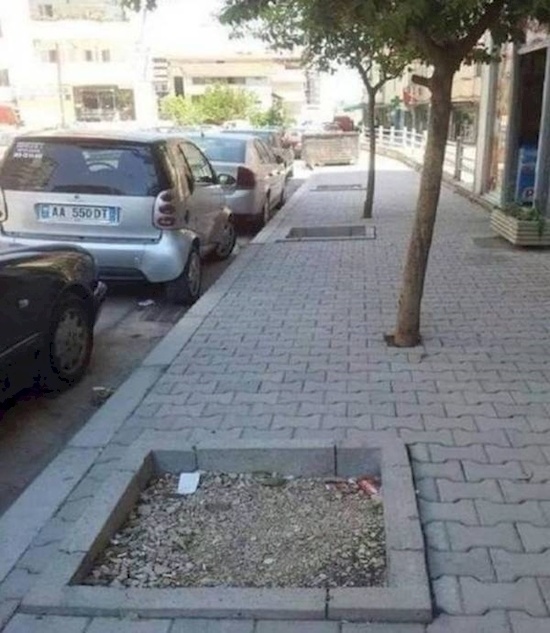 you had one job landscaping