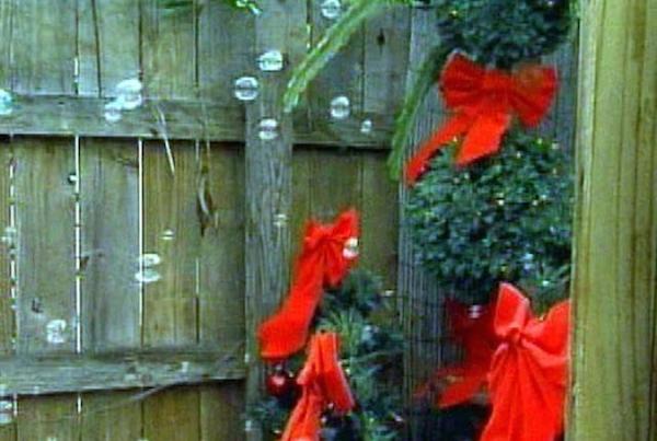 Andie & Mike's Bubble Cam lets you control a bubble machine in their backyard garden in South Florida. That's right—press the "Bubbles" button to turn on a 30-second blast of bubbles.