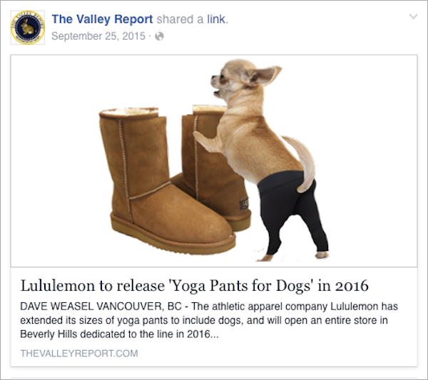 29 incredible Facebook ads that can't be real