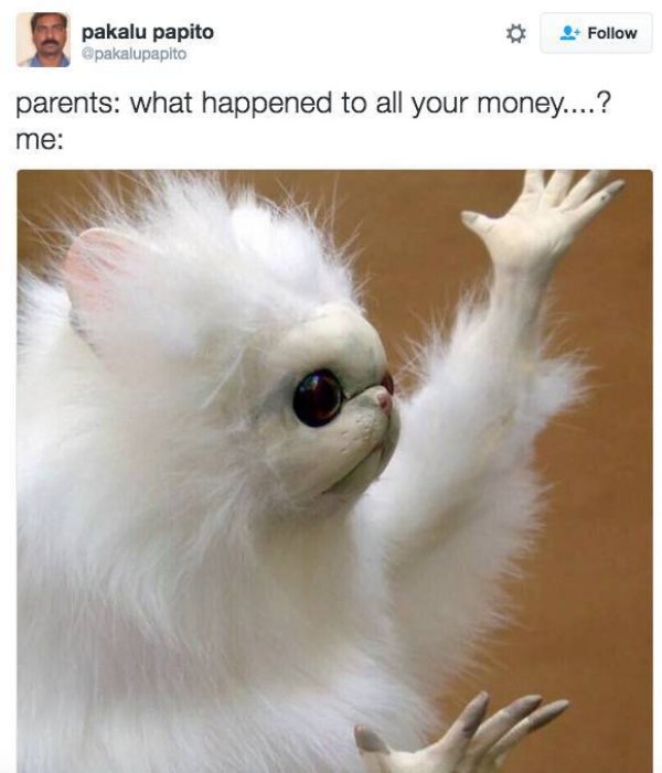 35 things that sound funny, but are true