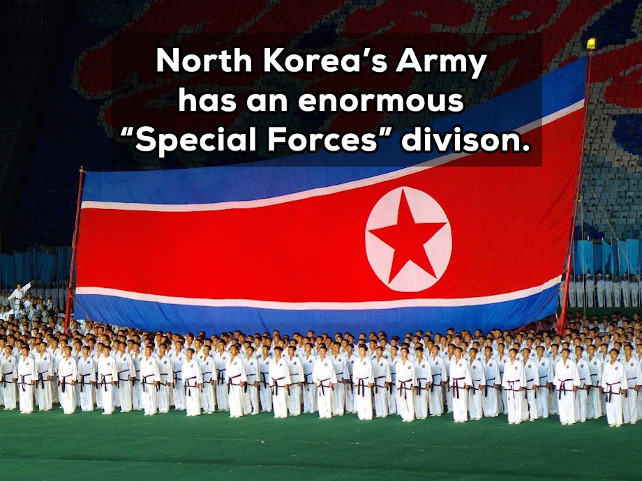 The North Korean Special Operation Force (NKSO) attempted to assissinate the South Korean president in 1968 and attempted to burrow their way into South Korea. They are highly trained despite their public failures.