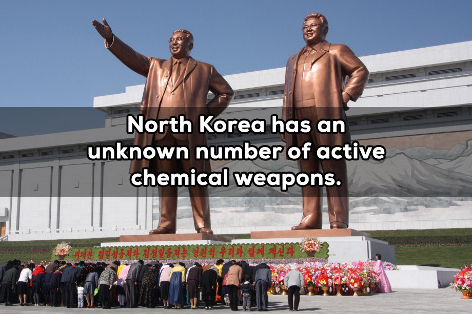 North Korea has a large chemical weapons program but it is completely unknown how many ready weapons they have.