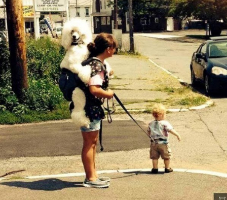 12 Photos That Will Make You Feel Like You're Living in a Alternate Universe